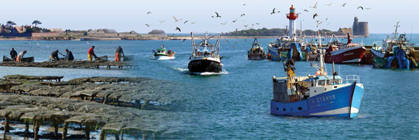 Visuel mer pêche et conchyliculture